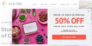 k9 of mine adapting business to covid-19